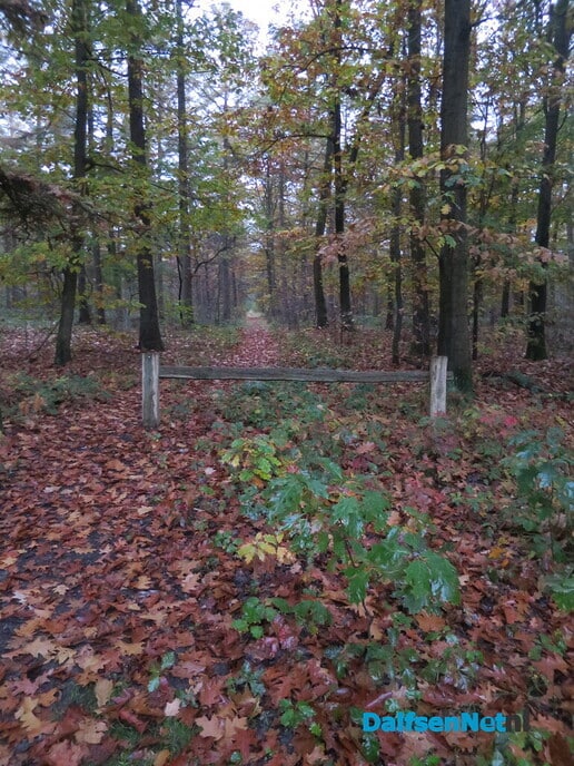 Wintertijd en genieten van de herfst - Foto: Wim
