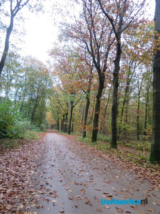 Wintertijd en genieten van de herfst - Foto: Wim