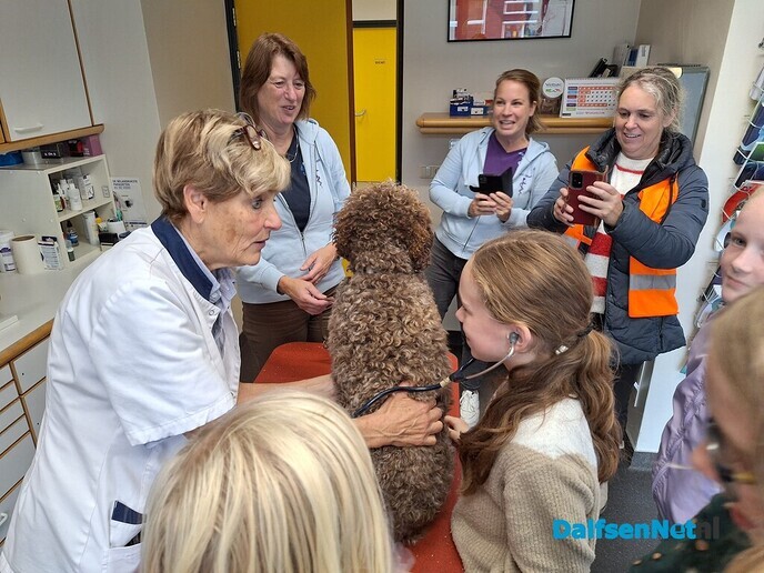 Roefeldag: nog meer foto’s - Foto: Ingezonden foto
