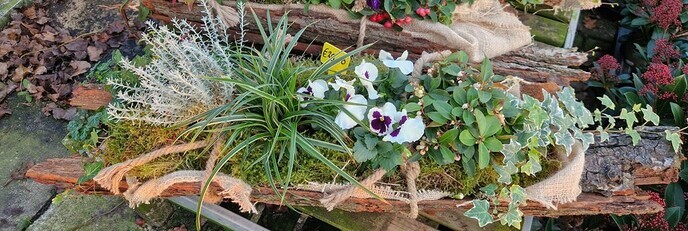 Herfstkleuren bij Anton’s Bloemkwekerij