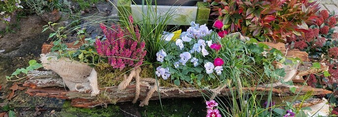 Herfstkleuren bij Anton’s Bloemkwekerij