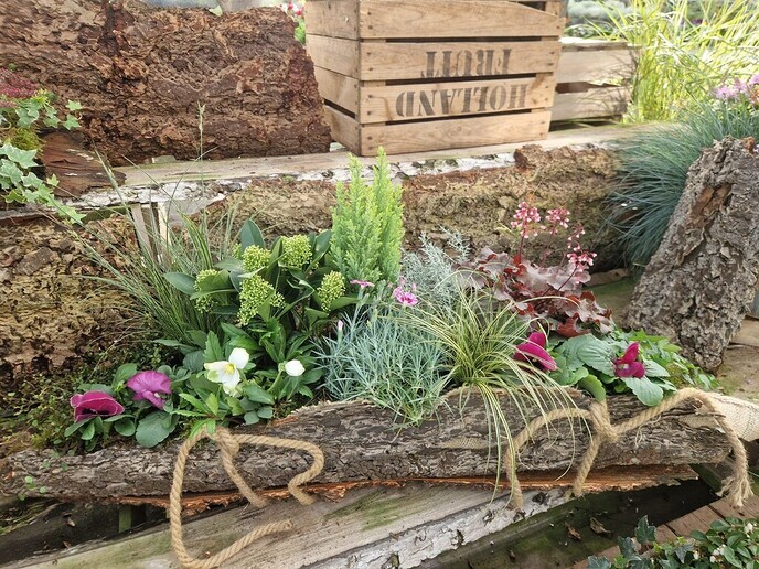 Herfstkleuren bij Anton’s Bloemkwekerij