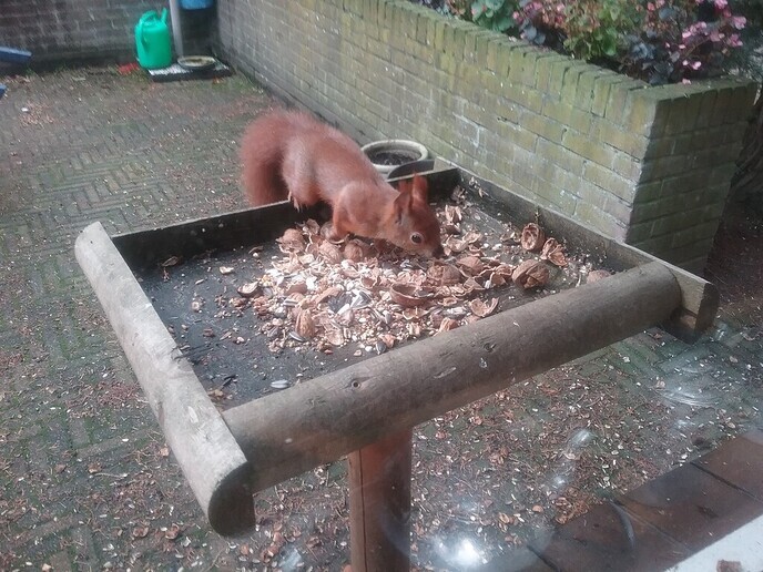 De voorraad slinkt - Foto: Ingezonden foto