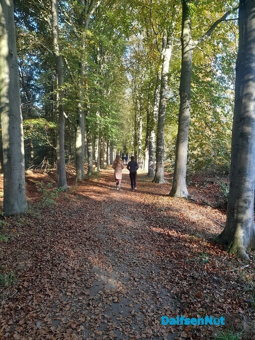 CHristenUnie wil actie op aanleg van wandelpaden in de gemeente. - Foto: Ingezonden foto