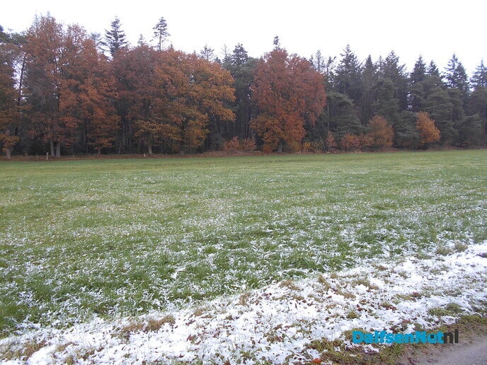 Een beetje winter en volop herfst in de Sterenbos