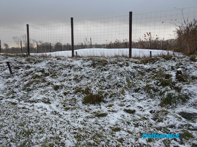 Een beetje winter en volop herfst in de Sterenbos