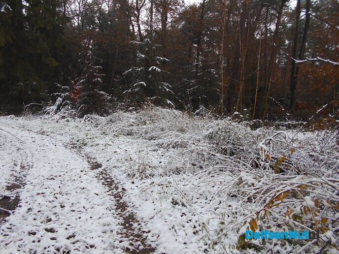 Een beetje winter en volop herfst in de Sterenbos