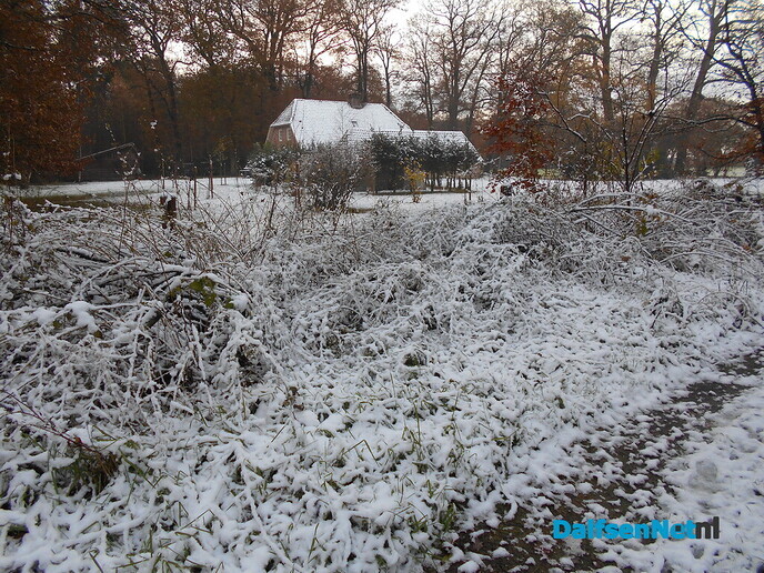 Een beetje winter en volop herfst in de Sterenbos