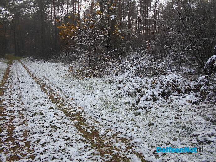 Een beetje winter en volop herfst in de Sterenbos