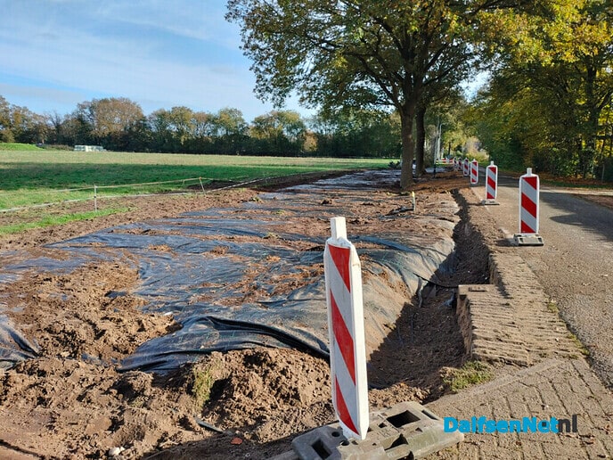 Aanval op Japanse duizendknoop toekomstige nieuwbouw - Foto: Ingezonden foto