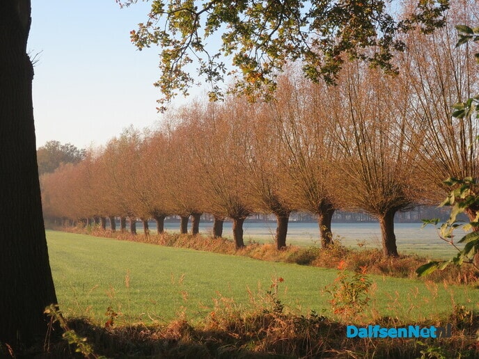 Een wandelroute, rondje Hoonhorst/ Witte Wieven - Foto: Wim