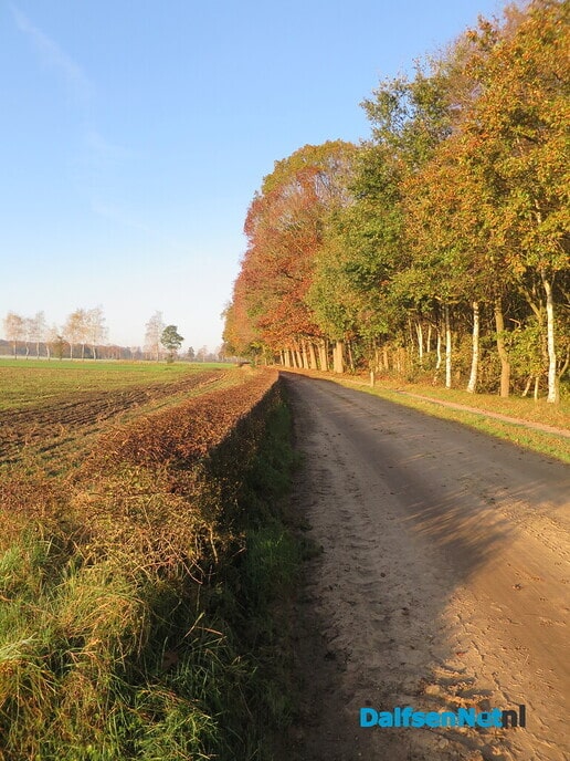 Een wandelroute, rondje Hoonhorst/ Witte Wieven - Foto: Wim