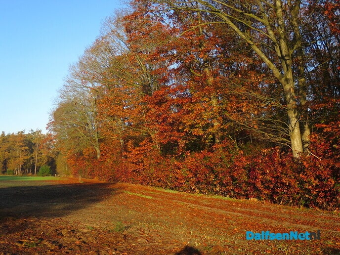 Een wandelroute, rondje Hoonhorst/ Witte Wieven - Foto: Wim