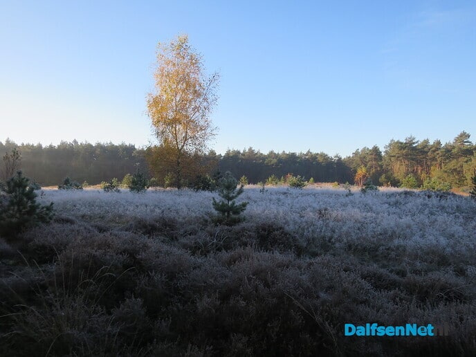 Een wandelroute, rondje Hoonhorst/ Witte Wieven - Foto: Wim