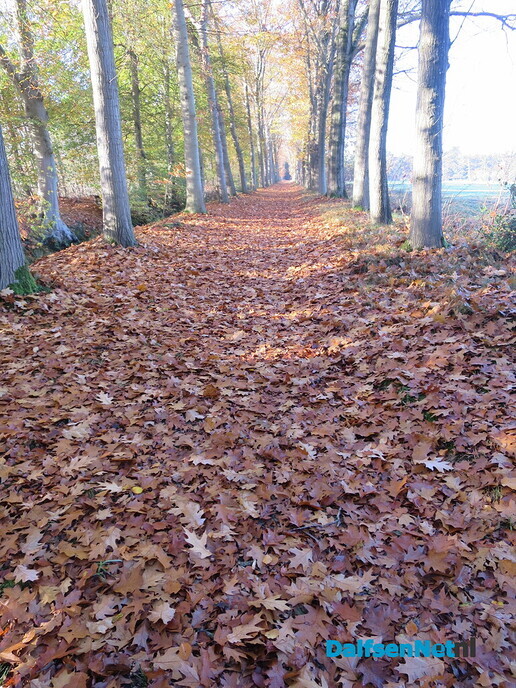 Een wandelroute, rondje Hoonhorst/ Witte Wieven - Foto: Wim