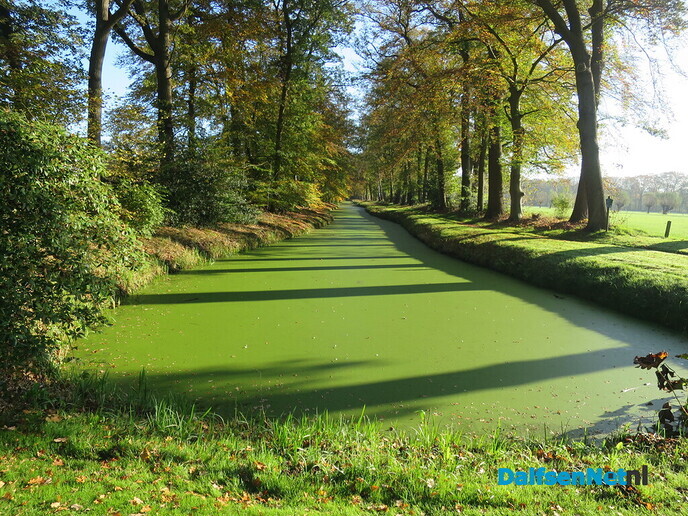 Een wandelroute, rondje Hoonhorst/ Witte Wieven - Foto: Wim