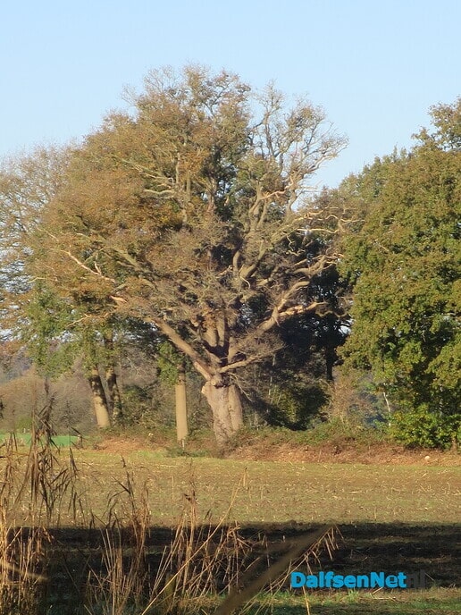 Een wandelroute, rondje Hoonhorst/ Witte Wieven - Foto: Wim