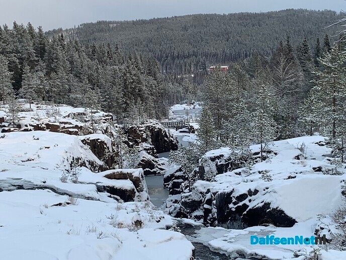 Vakantiefoto’s vanuit Zweden - Foto: Ingezonden foto