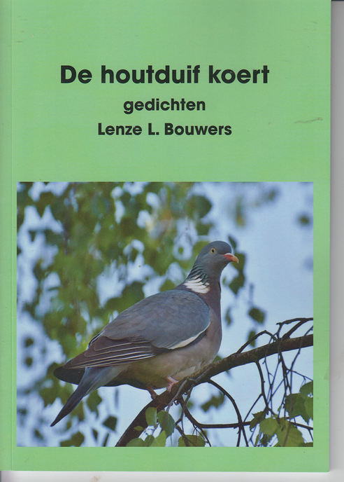 De houtduif koert niet - Foto: Ingezonden foto