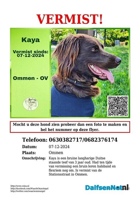 Kaya, Duitste Staande vermist en weer gevonden - Foto: Ingezonden foto
