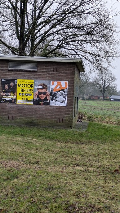 Grijs witte kat dood gevonden