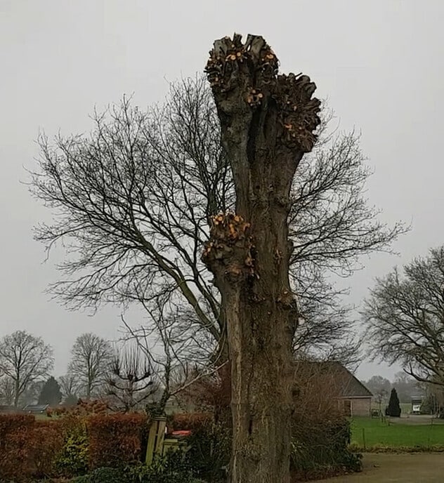 Nieuw filmpje van Simon - Foto: Ingezonden foto