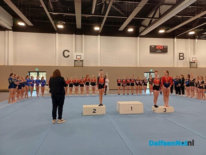 Gym ver. Nieuwleusen: turnsters pakken podiumplaatsen - Foto: Ingezonden foto