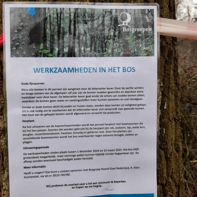 Boskap op Gerner - Foto: Ingezonden foto