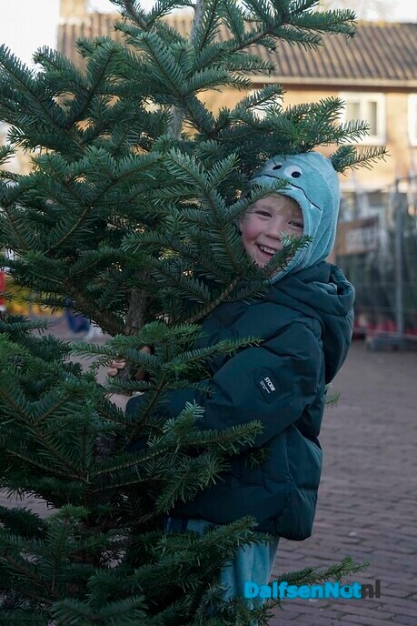 Kerstbomenverkoop bij r.k. kerk Dalfsen is gestart - Foto: Paul Scholten