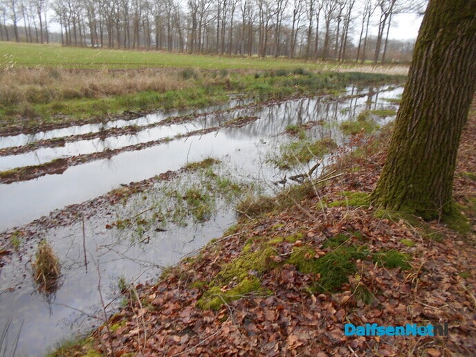 Water en nog eens water