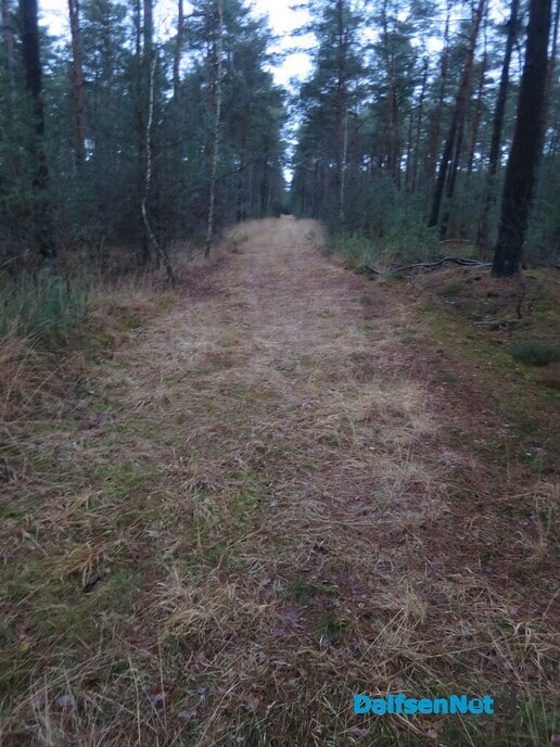 Struinen door de Rechterense bossen - Foto: Wim