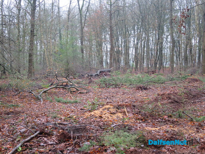 Ook de tweede dag Midwinterhoorn wandeltocht was erg druk - Foto: Wim