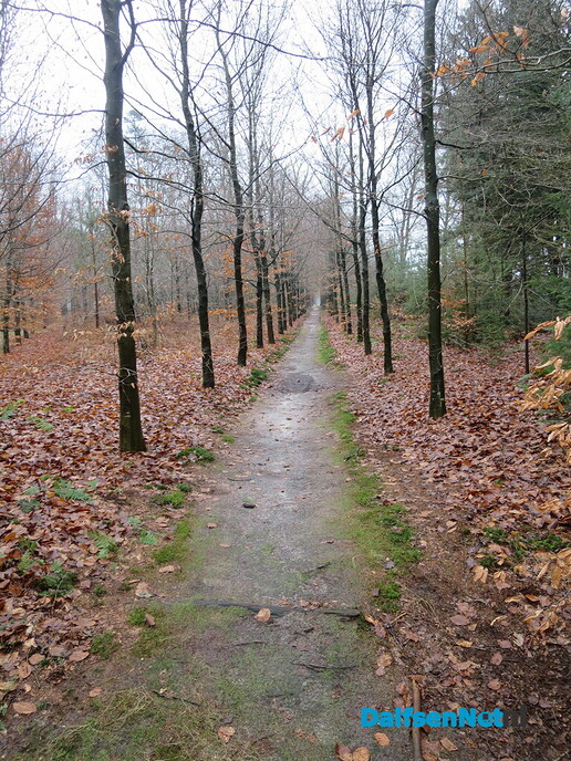 Ook de tweede dag Midwinterhoorn wandeltocht was erg druk - Foto: Wim