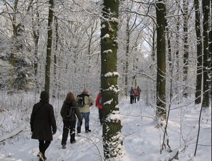 Midwinterhoorn Wandel Tocht op 29 en 30 December - Foto: Ingezonden foto