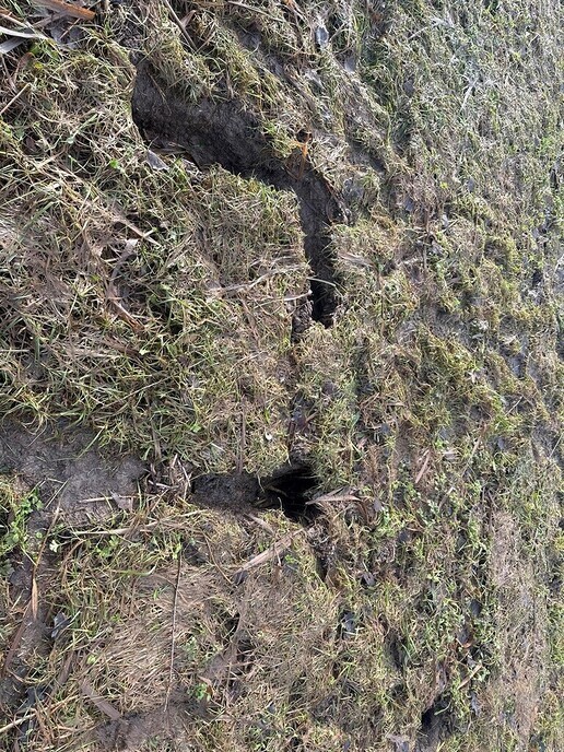 Resultaat dijkinspecties “Dijken liggen er goed bij” - Foto: Ingezonden foto