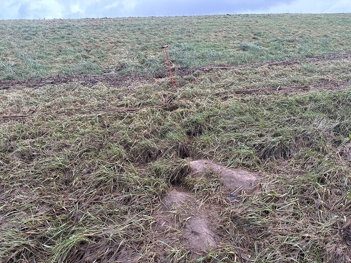 Resultaat dijkinspecties “Dijken liggen er goed bij” - Foto: Ingezonden foto