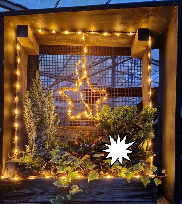 Anton’s Bloemkwekerij – Leuke verlichte raamwerkjes kerststukjes met amaryllis, kransen toefjes