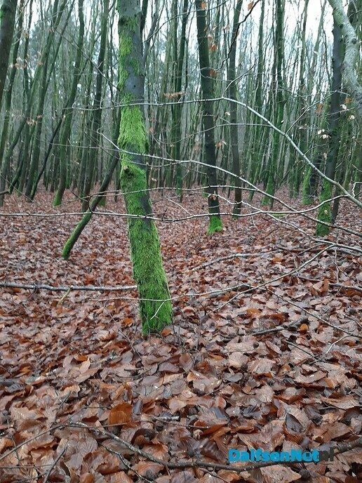 IJshaar gespot In Visteren - Foto: Ingezonden foto