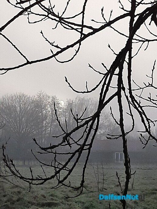 Mist erieus Bellingeweer - Foto: Ingezonden foto