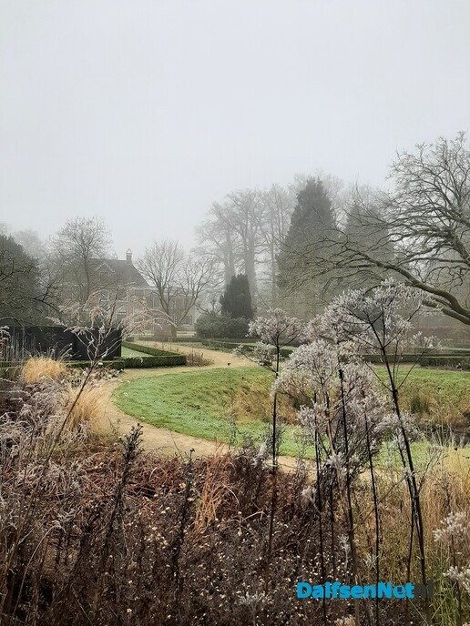 Winterbaard - Foto: Ingezonden foto