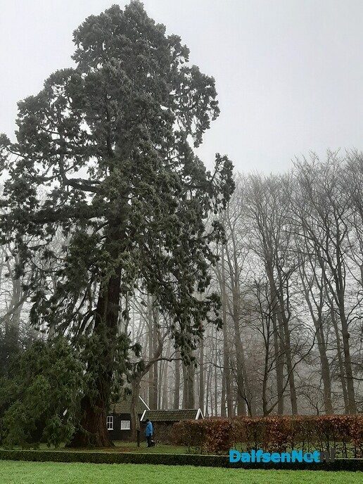 Winterbaard - Foto: Ingezonden foto