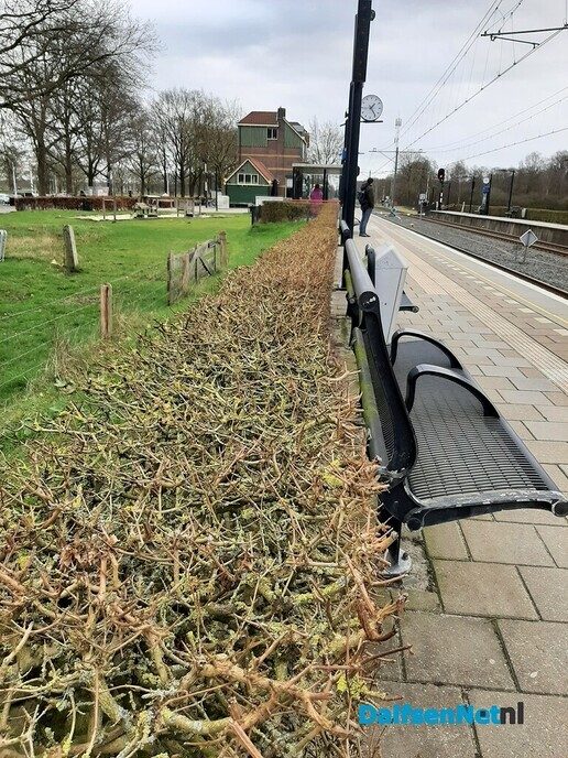 Op een klein stationnetje - Foto: Ingezonden foto
