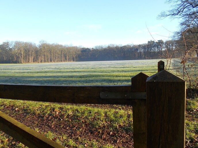 Heerlijke winterochtend - Foto: Ingezonden foto