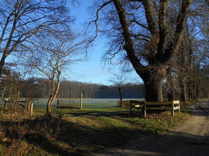 Heerlijke winterochtend - Foto: Ingezonden foto