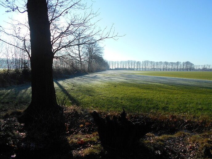 Heerlijke winterochtend - Foto: Ingezonden foto