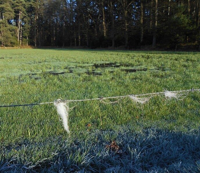 Heerlijke winterochtend