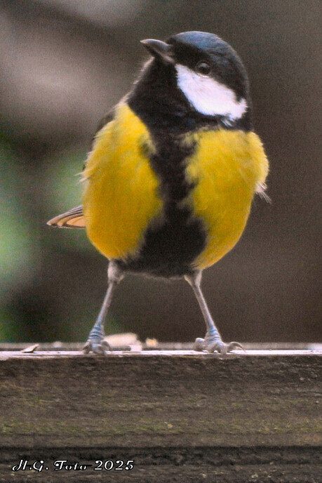 Een drukte van belang.