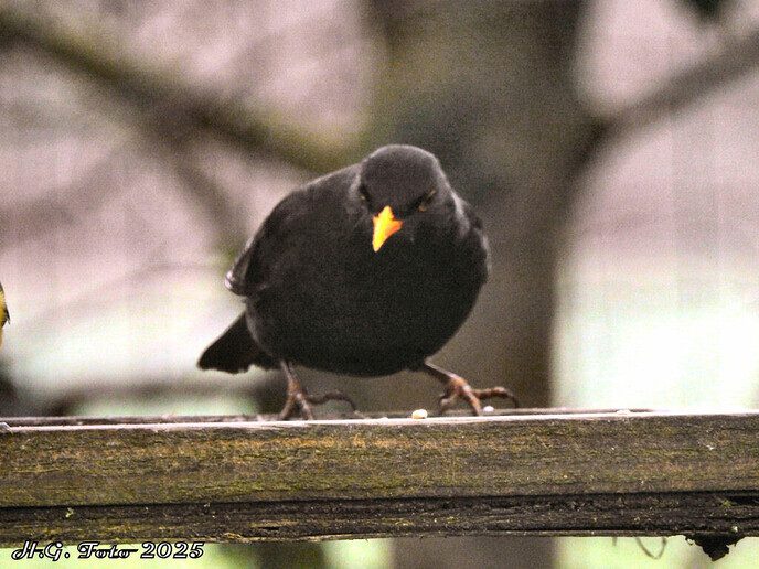 Een drukte van belang.