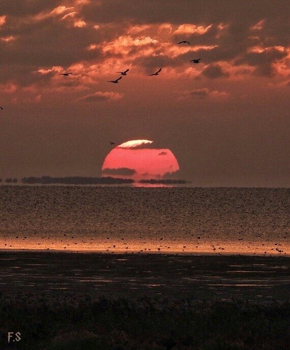 Een beetje kleur - Foto: Ingezonden foto