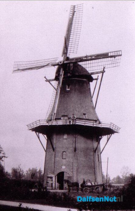 Tegel gelicht over het DNA van Dalfsen - Foto: Ingezonden foto
